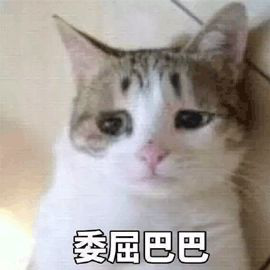 雅思词汇