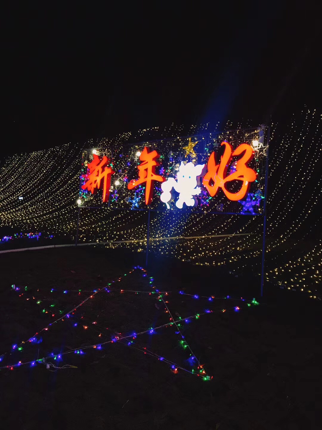 川外新年好